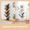 VASAGLE Tree-Shaped Bookshelf for Small Spaces, Easy Assembly 5