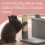 FEANDREA Cat Tree, Small Cat Tree, Scratching Post, with Cave and Platform 6