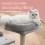 FEANDREA Cat Tree, Small Cat Tree, Scratching Post, with Cave and Platform 4