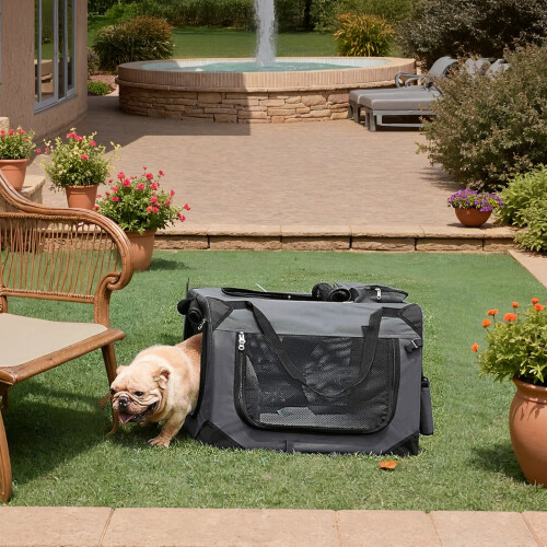 FEANDREA Foldable Pet Carrier with Mesh Windows and Fluffy Mat 2