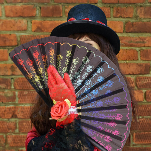 1Pc Delicate Peacocks Tail Design Folding Fan Classical Craft 2