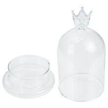 2Pcs Preserved Fresh Flowers Glass Cover With Base