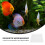 1 Roll Honeycomb Filter Pads For Home Fish Tank Filtering 9