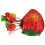 Set Of Fruit Toothpicks And Forks With Stand 6