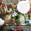 50Pz Colla Trasparente Per Packaging Bouquet Fai Da Te 7