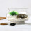 De Transparente Para , Betta, E 5