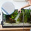 1 Aquarium Hoogdichte Zuiveringsfilter Sponge Visbak 11