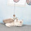 4 Katzenangel Mit Holzmaus Und Spielen 2