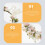 1Cloth Floral Headband Wit Bruiloft Accessoire 7