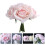 2 Kunstrosen Blumenstrauß Für Zu Hause (Pink) 11