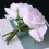2 Kunstrosen Blumenstrauß Für Zu Hause (Pink) 5