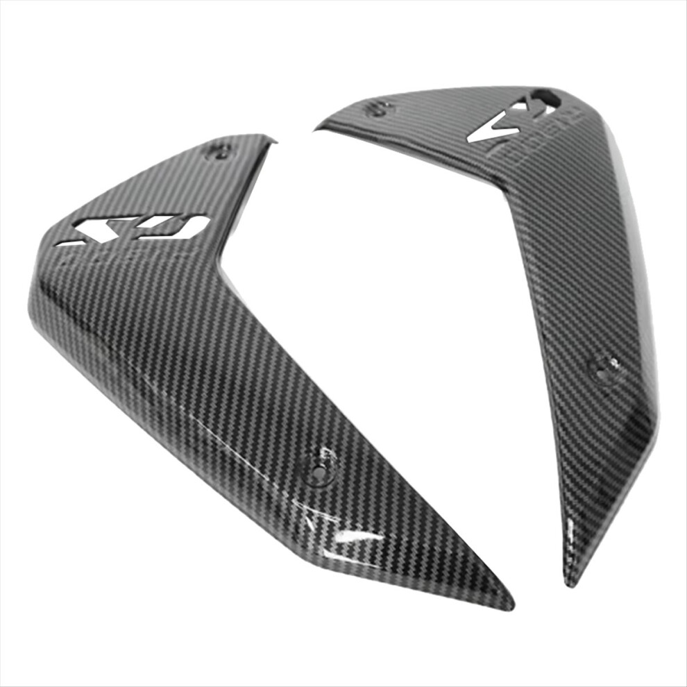 Motorcycle Fairing Carbon Fiber Side Panel Cover Fairings For R1300gs 4851550158071