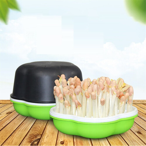 Bean Sprout Germination Pot Soilless Hydroponic Wheat Seedling Plantin 2