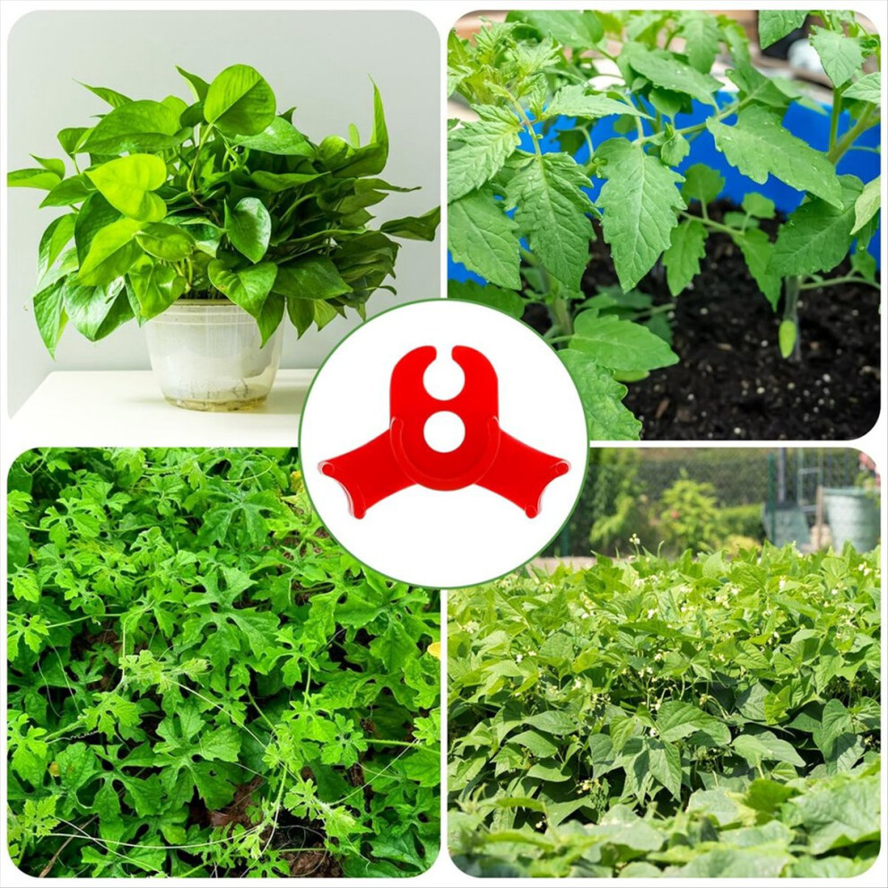 Red Plant-image-OPC-PMV2JSD-NEW