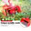 Berry Picker, Pickers and Rakes with Metallic Comb Ergonomic Handle fo 5