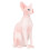 2 Simuliertes Haarloses Katzenmodell 1