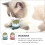 2Pièces D'herbe À Chat Comestible Multicouleur Pour 11
