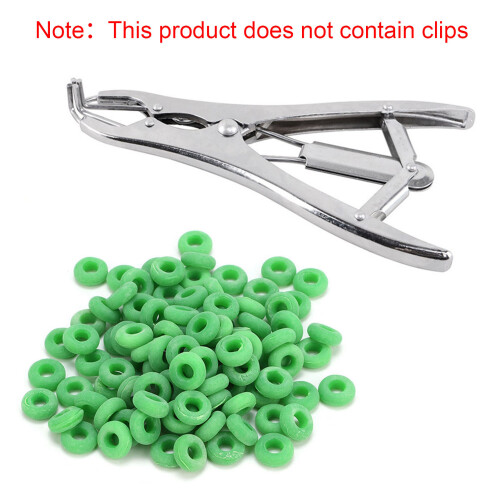 Grüne 100er Pack Gummi-Elastic-Kastrationsringe für Nutztiere