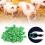 Grüne 100er Pack Gummi-Elastic-Kastrationsringe für Nutztiere 6