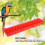 5Set Verdicken Vogel Feeder Outdoor Hängen 15
