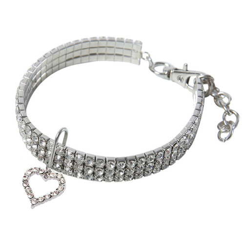 2 Hundehalsband Für Und Größe M