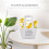 6 Papier-Blumenstrauß-Verpackungsbeutel (Weiß) 5