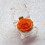 2 Ewigkeitsrose Aus Getrockneter Mit Schubladenbox Orange 8