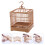 2 Sets Bird Display Cage With Base Tray And Hanging Hook 8