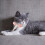 Hand Knitted Collare Per Per Animali 8