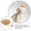 3 Piezas Ajustable Para Perros Pequeños Y 11