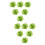 12Pièces Broches Verte Décoration 7