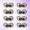 300 Pezzi Occhi Sicurezza In 17X29Mm Per Animali 10
