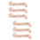 6 Pcs Letter Printing Sashes Etiquette Belts 7
