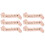 6 Pcs Letter Printing Sashes Etiquette Belts 2