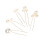 5 Pezzi Spilla Sposa A U Con 6