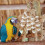 Kauwspeeltje Kleine Vogels 5