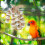 Kauwspeeltje Kleine Vogels 4