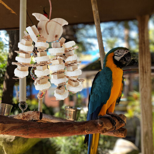 Kauwspeeltje Kleine Vogels 2