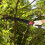 26ft Manual Pole Saw Palm Tree Trimmers Long Handle Pruner Set 4