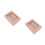 2Pcs Armazenamento Com Para Dentes E Cabelo 10