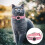 Para Collar Localizador Mascotas Con 3