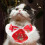 1P Huisdier Kat Nieuwjaar Chinese Stijl 10