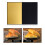 Light Réflecteur Pliable Pour Photographie Nature 10