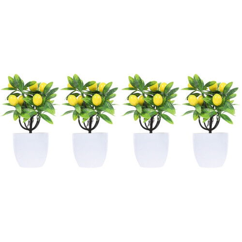 4 Pezzi Piante In Vaso Albero 2