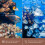 Materiale Per Filtrazione Con Palline Decorative 10