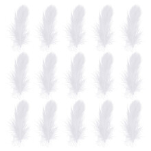 400 Pezzi Piume Decorative Per Matrimonio E Arredamento