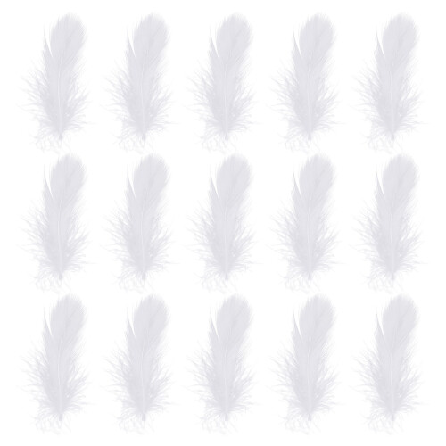 400 Pezzi Piume Decorative Per Matrimonio E Arredamento