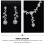 3 Set Sposa Collana 8