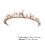 1 Tiara De Coroa Elegante 8
