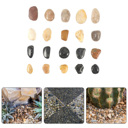 1 500G De Decorativas 2